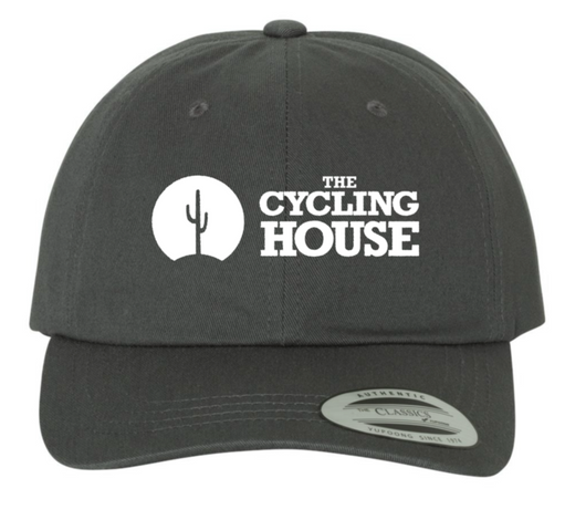 Dad Hat (Gray)